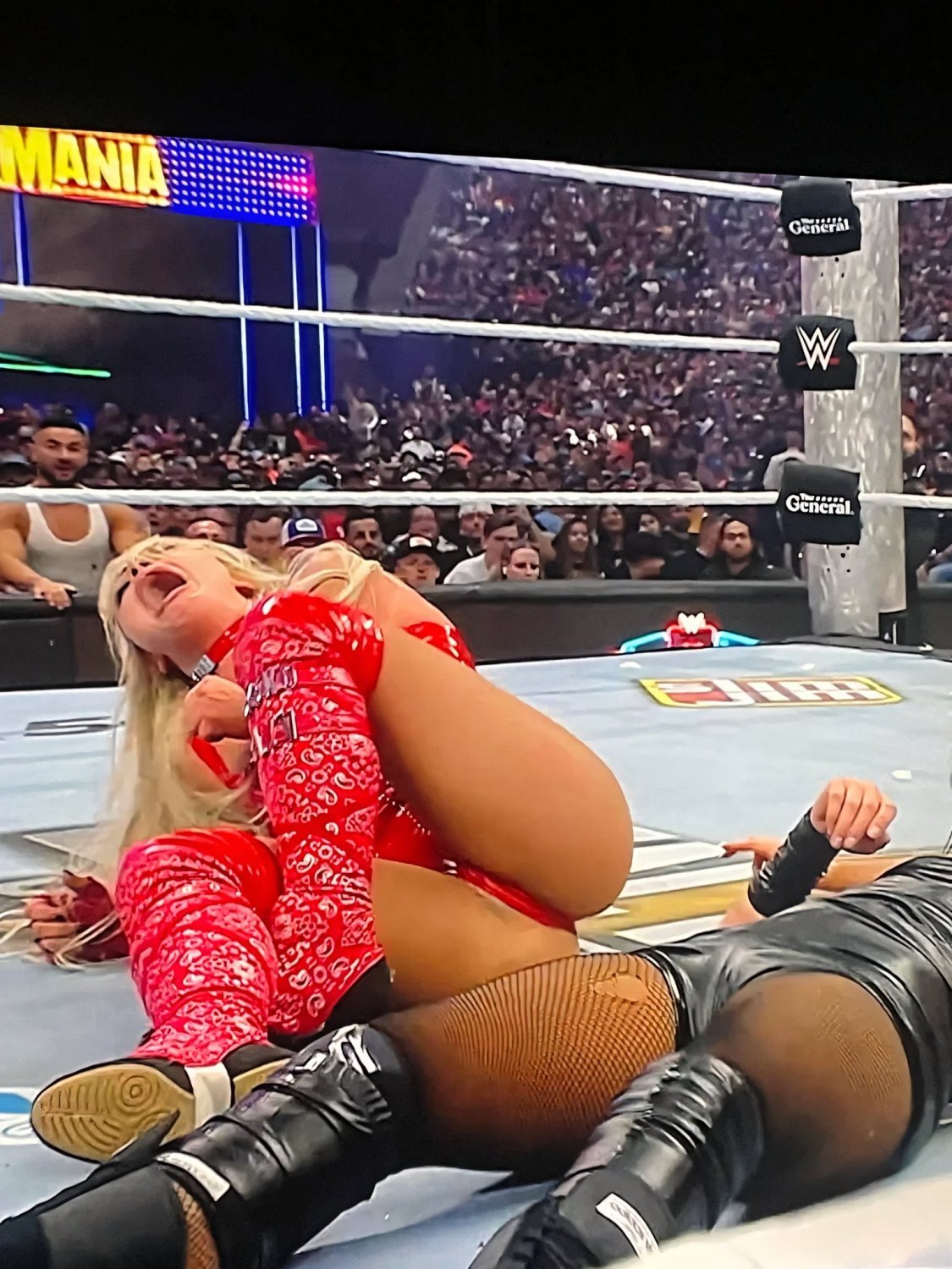 WWE #O2xf4P9E
